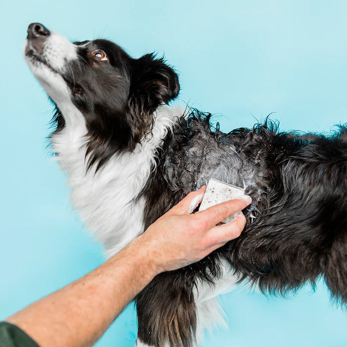 Ethique Dog Shampoo Bar - Shampooch (Unscented)
