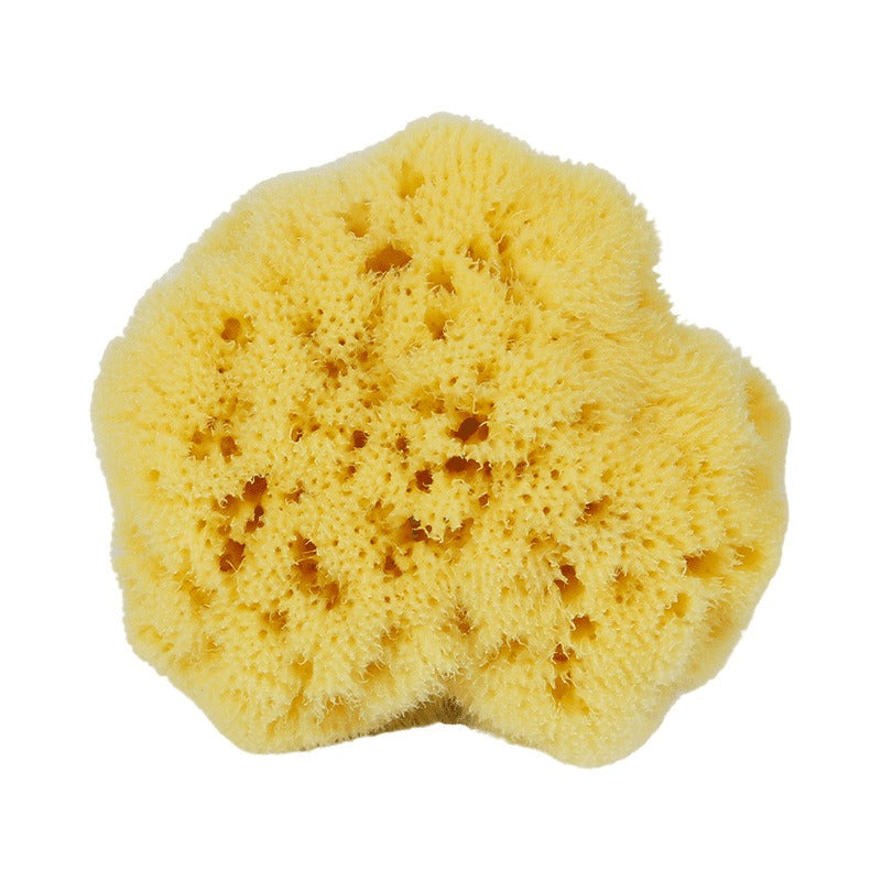 Natural Bath Sponge 天然海綿