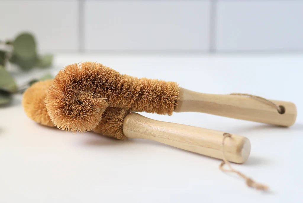 Coir Brush (Vegan) 椰棕清潔刷 (純素)