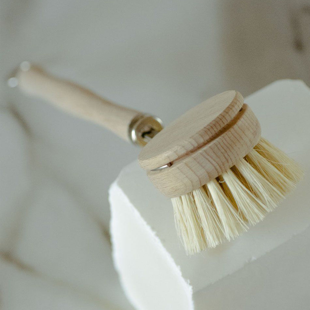 Casa Agave Dish Brush - Long Handle