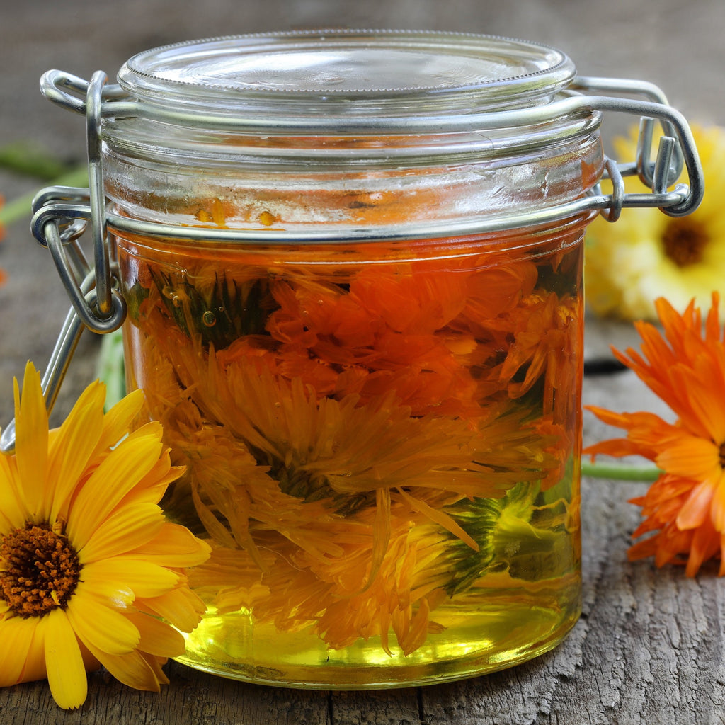 Calendula Infused Oil (Organic) 有機金盞花浸泡油