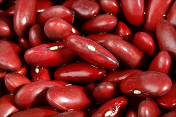 Red Kidney Beans (Organic) / 有機紅腰豆