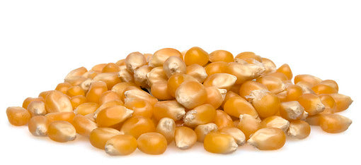 Yellow Popcorn (Organic) / 有機爆谷
