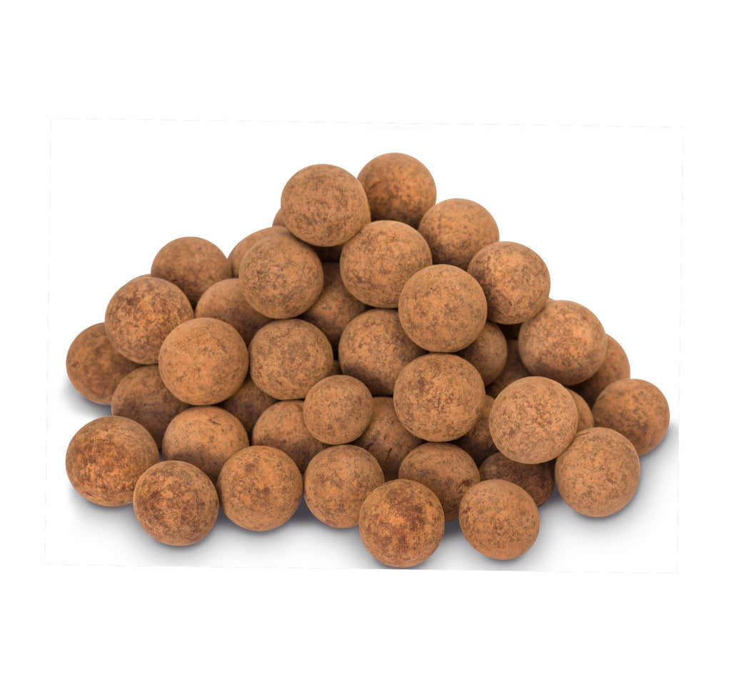 Raw Salted Chocolate Hazelnuts (Organic) / 有機海鹽朱古力榛子