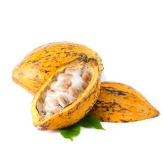Cocoa Butter - Unrefined (Organic) 有機可可脂 (未精制)